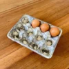 Boîte à œufs en céramique – Collection Mer & Écumes Gris