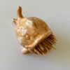 Poisson porte cure dent sable Poisson vide-poche sable